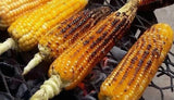African Corn