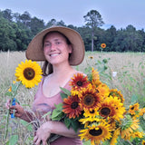 Autumn Beauty Sunflower