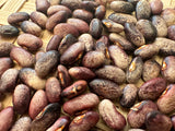 Ohio Pole Bean