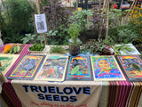 Philadelphia Stories Collection: Northern Adapted Pigeon Peas (Gandules) *POSTER*