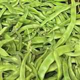 Baciccia Beans
