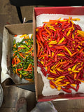 Ot Hiem (Red California Chili)