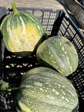 Jamaican Pumpkin