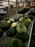 Jamaican Pumpkin