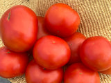 Al Kuffa Tomato (Iraq)