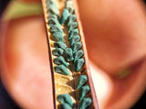 Palestinian Molokhia