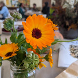 'Odesa Market' Calendula