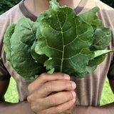 Gboma (Eggplant Leaf)