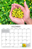 2020 Seed Keeping Calendar