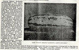 Georgia Rattlesnake Watermelon