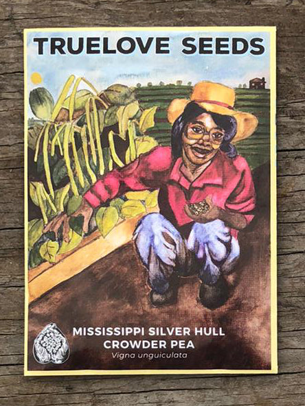 Mississippi Silver Hull Crowder Pea Truelove Seeds 0039