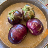 Aswad Eggplant (Iraq)