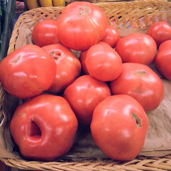 Big Pink Tomato