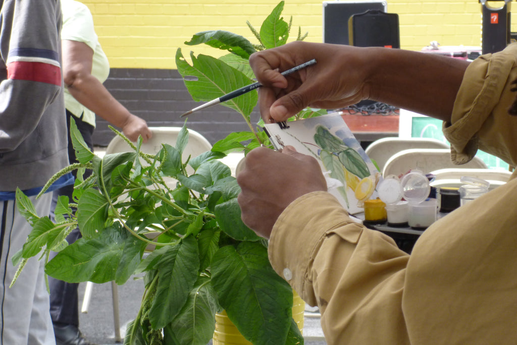 Callaloo (Amaranth)