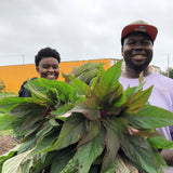 Chicago Callaloo