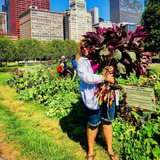 Chicago Callaloo