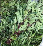 Chin Baung (Burmese Roselle Leaf)