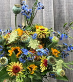 Chinese Forget-Me-Not