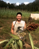 Dale Sorghum