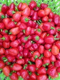 Dalle Khorsani Pepper