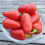 Dalle Khorsani Pepper