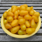 Dattelwein Cherry Tomato