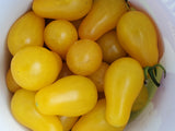 Dattelwein Cherry Tomato