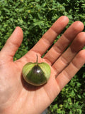 De Milpa Tomatillo