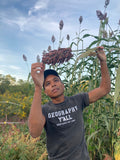 Della Sorghum