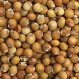 Northern Adapted Pigeon Peas (Gandules)