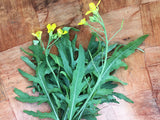 Selvatica Rucola (Wild Arugula)