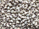 Mississippi Purple Hull Pea