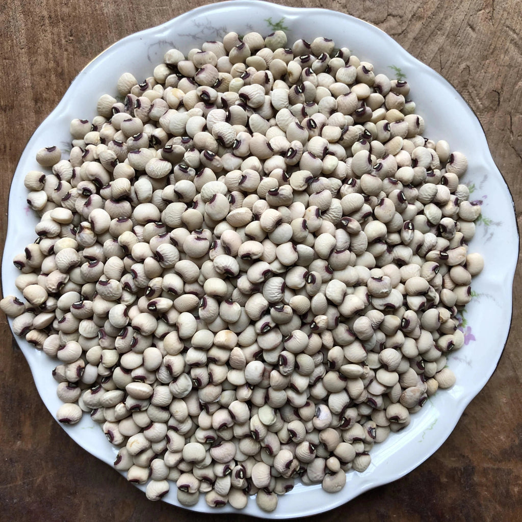 garden pea seed Mississippi Purple Hull Pea – Truelove Seeds