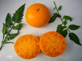 Mary Reynold's Orange Tomato by Mason