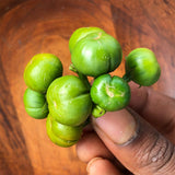 Nigerian Garden Egg