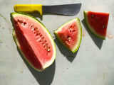 Odell's Large White Watermelon