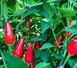 Piri Piri Mix