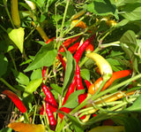 Piri Piri Mix