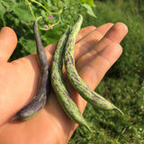 Rattlesnake Pole Bean
