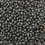 Rouge et Noir Field Pea