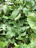 Seven Top Turnips