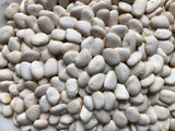 Sieva Carolina Lima Bean