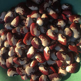 Simmon's Red Streak Lima Bean (Semi-Pole)