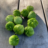 Toma Verde Tomatillo photo by Marie-Noelle Desbois
