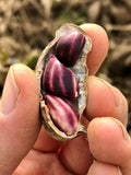 Transkutukú Peanuts