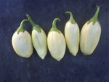 White Garden Egg (Eggplant)