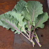 Alabama Blue Collards