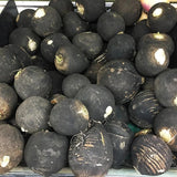 Black Spanish Radish