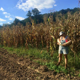 North Georgia Candy Roaster Squash