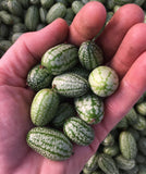 Cucamelon (Mouse Melon)